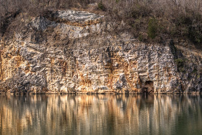 Reflection of trees in water