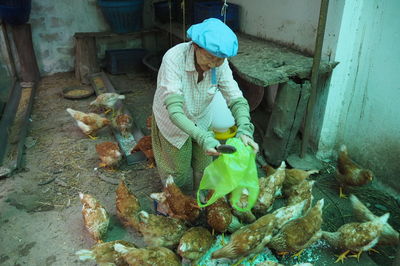 Senior woman working at farm