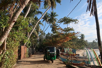 Street amidst trees against sky