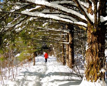 Rear view of man on snow covered landscape