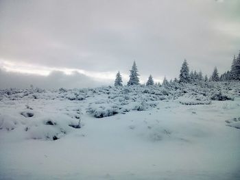 Scenic view of snow covered landscape