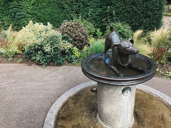 High angle view of fountain in park