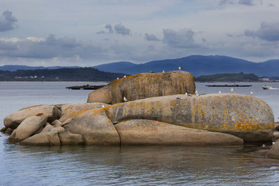 Rocks by sea against sky