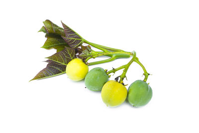 Close-up of fruits against white background