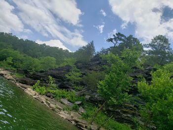 Scenic view of trees and mountains against sky