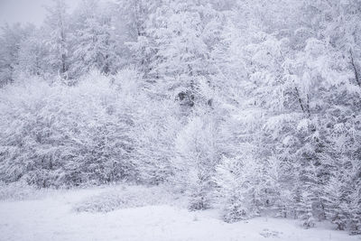 Aerial view of snow covered landscape