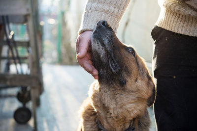 Midsection of person with dog