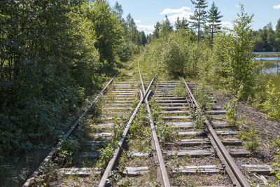 Railroad tracks amidst trees against sky