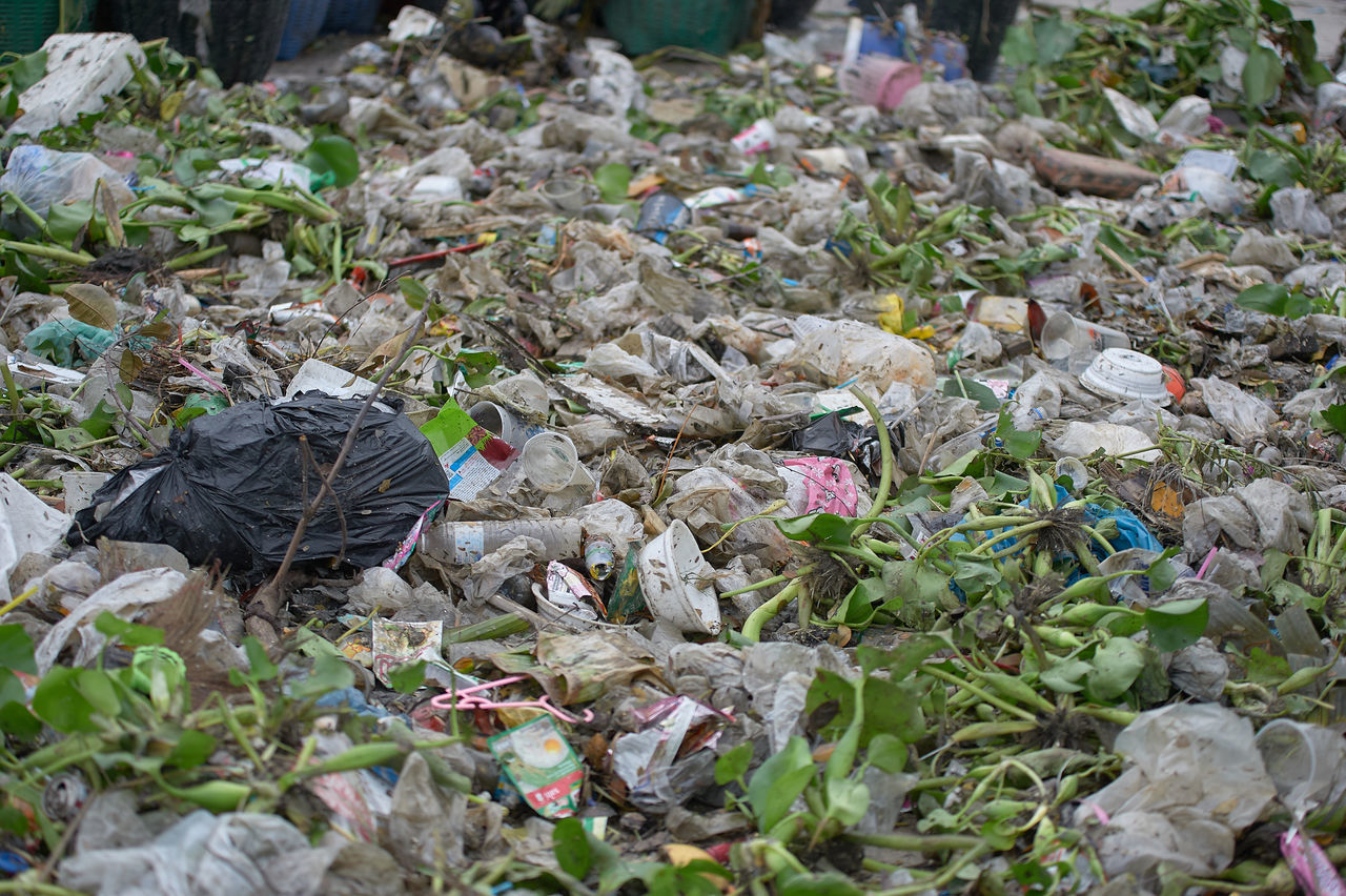 HIGH ANGLE VIEW OF PLANTS AND GARBAGE IN PARK