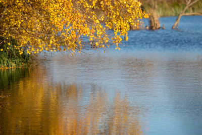 Scenic view of lake during autumn