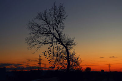 Silhouette bare tree against clear sky during sunset