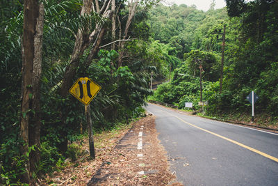 Road amidst trees in forest