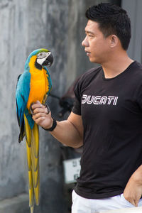 Midsection of man feeding perching