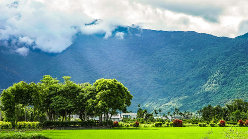 Scenic view of landscape and mountains against sky