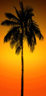 Low angle view of palm trees at sunset