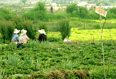 Panoramic view of people in farm