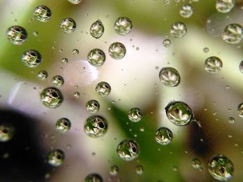 Full frame shot of wet bubbles