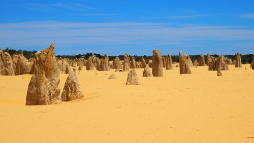 Panoramic view of sand dune in desert