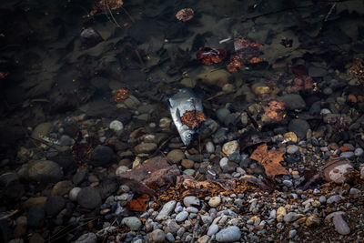 High angle view of stones on beach