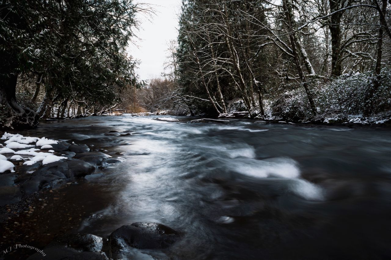 nature, water, tree, no people, motion, beauty in nature, travel destinations, outdoors, scenics, landscape, day, sky, power in nature