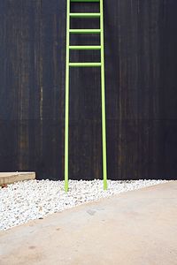 Close-up view of leaf