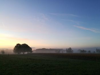 Scenic view of field against sky during sunset