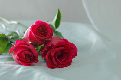 Close-up of red roses on bed