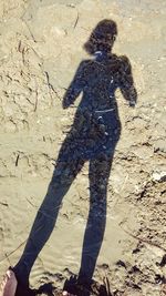 shadow