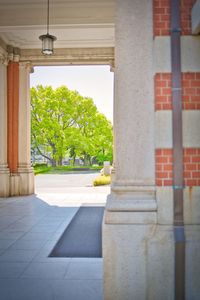 Trees and plants seen through entrance of building