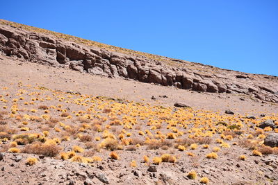 Scenic view of mountains against clear blue sky