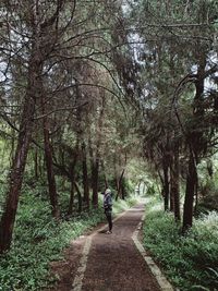 Rear view of person walking on footpath in forest