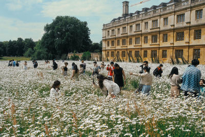 People on grassy field