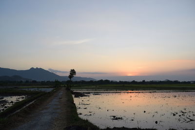 Scenic view of agricultural field against sky during sunset