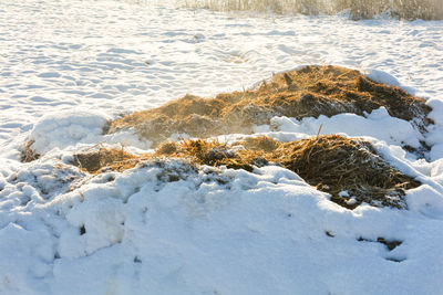 High angle view of rocks on shore during winter