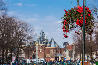 Panoramic view of trees and buildings in city against sky