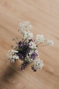 High angle view of flowering plant on table