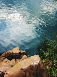 High angle view of rocks by lake