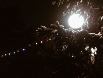 Low angle view of illuminated tree against sky at night