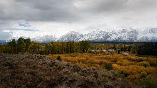 Scenic view of landscape against sky