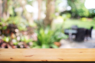 Close-up of plants on wooden table in yard