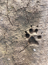 Full frame shot of footprints