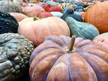 Close-up of pumpkins at market stall