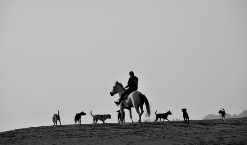 Woman in desert