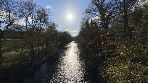 Canal amidst trees against sky in forest