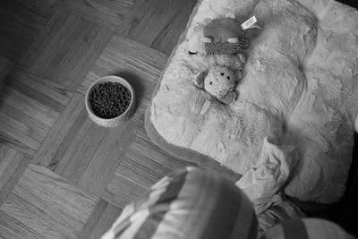 High angle view of cat with toy on floor at home