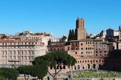 Buildings in city