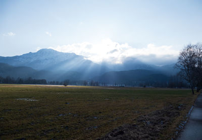 Scenic view of field against sky