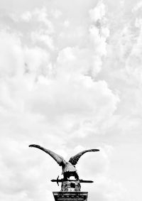 Low angle view of bird flying in sky