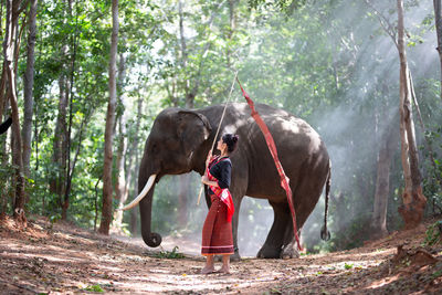 Young woman standing against elephant in forest