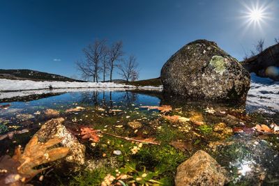 Reflection of trees in lake against sky